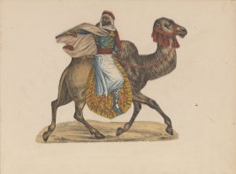 Een kameel met berijder