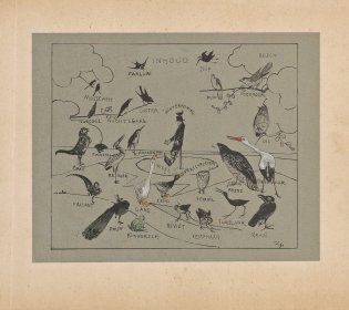 Inhoud van Hoe de vogels aan een koning kwamen, met tekeningen van alle vogels die in het boek voorkomen.