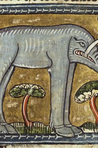 olifant