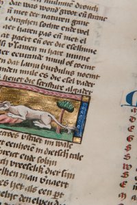 pagina-uit-der-naturen-bloeme