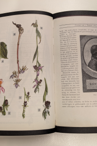 Twee pagina's uit het boek P. 225 door Anne Geene. Getoond wordt een pagina over Napoleon en een pagina met planten.