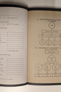 Twee pagina's uit het boek P. 225 door Anne Geene. Getoond wordt een pagina met Arabische tekst en een Spaanse tabel.