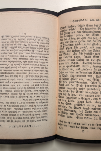 Twee pagina's uit het boek P. 225 door Anne Geene. Getoond wordt een pagina met Gotische Duitse tekst en een pagina met Franse tekst.
