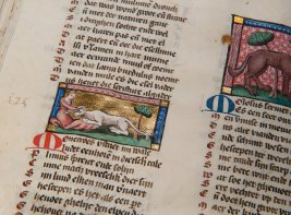 bladzijde uit boek met illustratie