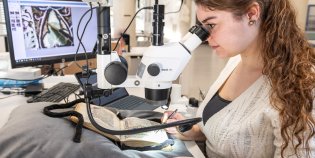 Restaurator Margot Terpstra bekijkt een manuscript door een microscoop