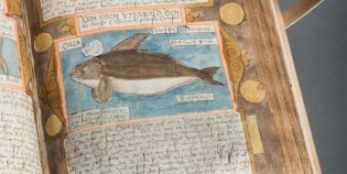 Pagina uit het Visboeck. Op de pagina een illustratie van een orka. 