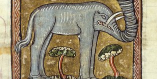 olifant