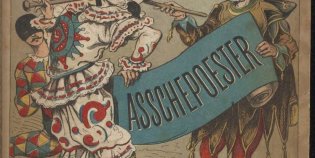 De kaft van Asschepoester