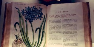 Opengeslagen boek met op de linkerpagina een geïllustreerde bloem in kleur en aan de rechterkant tekst