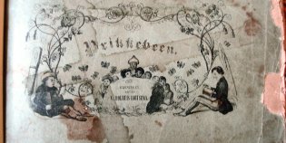Voorplat van Mijnheer Prikkebeen