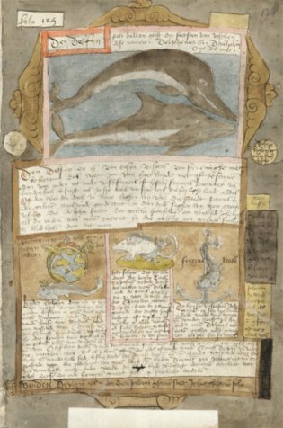 Pagina uit het Visboeck. Op de pagina een illustratie van dolfijnen. 
