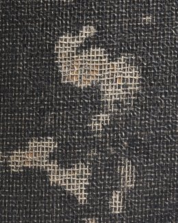 Detailweergave van papiervisbeschadiging.
