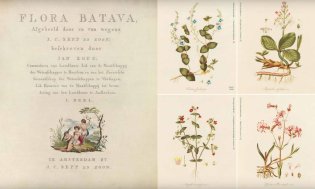Pagina's uit de Flora Batava, met de titel, tekst en de eerste flora.