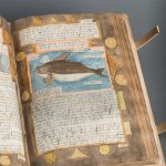 Pagina uit het Visboeck. Op de pagina een illustratie van een orka.