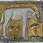 olifant