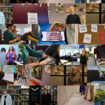 Compilatiefoto van alle video's uit de columnreeks Wilma ontdekt.