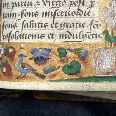Een rijk versierde pagina uit een middeleeuws manuscript