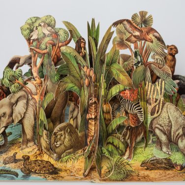 Een pop-upboek waaruit een complete jungle omhoog komt