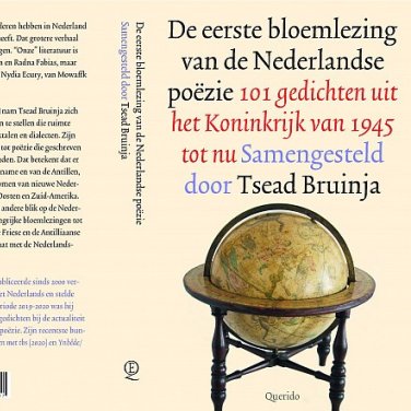 Omslag boek Tsead Bruinja, met titel en wereldbol.